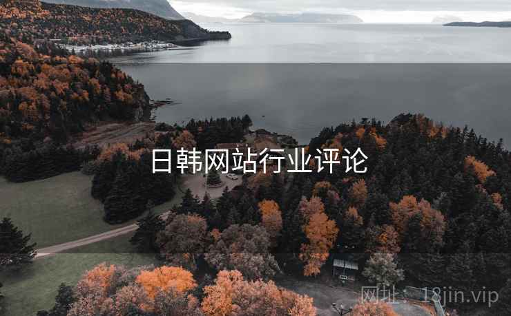 日韩网站行业评论  第2张