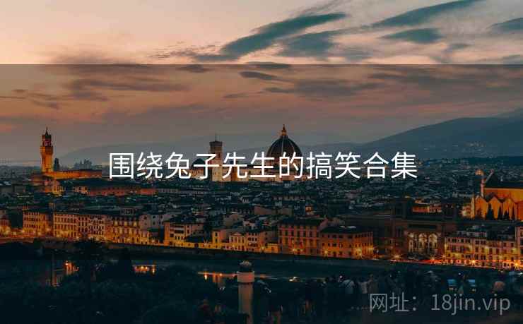 围绕兔子先生的搞笑合集  第2张