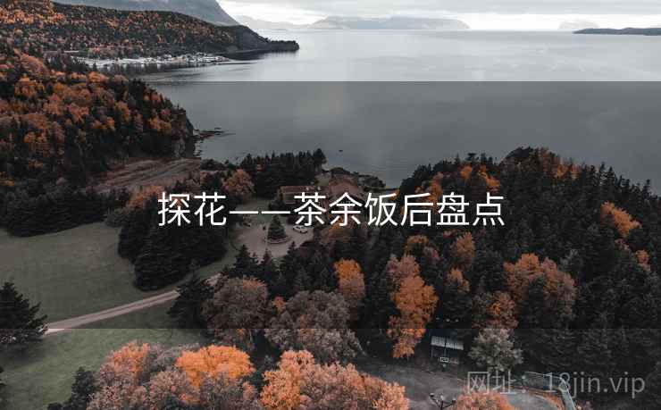 探花——茶余饭后盘点  第2张