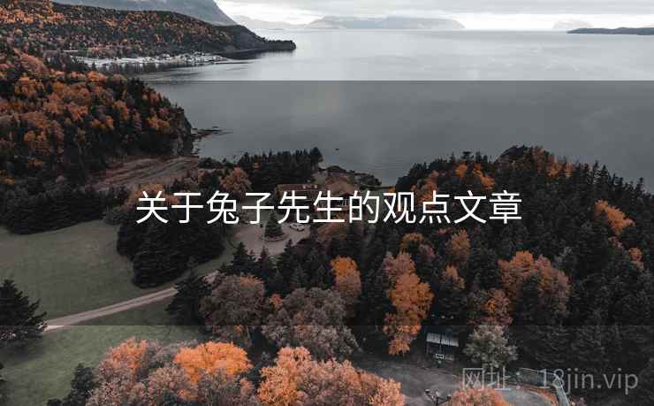 关于兔子先生的观点文章  第2张