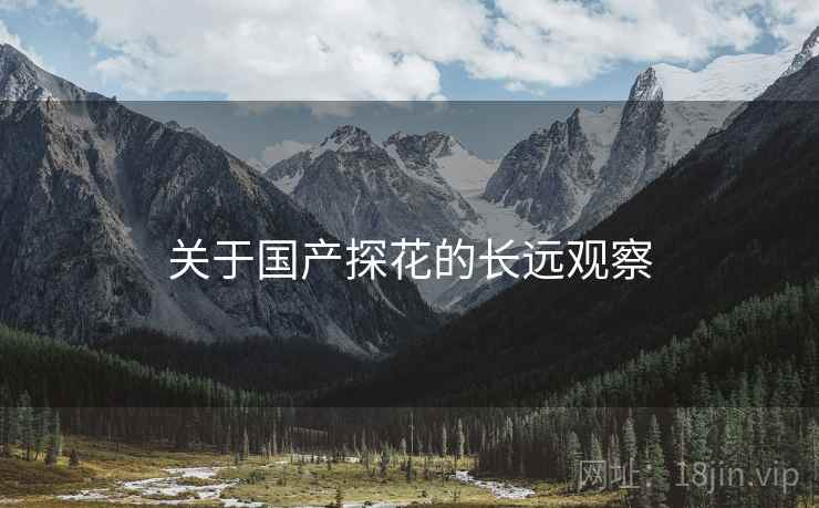关于国产探花的长远观察  第1张