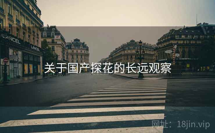 关于国产探花的长远观察  第2张