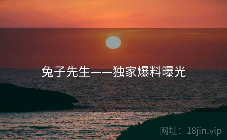 兔子先生——独家爆料曝光  第1张