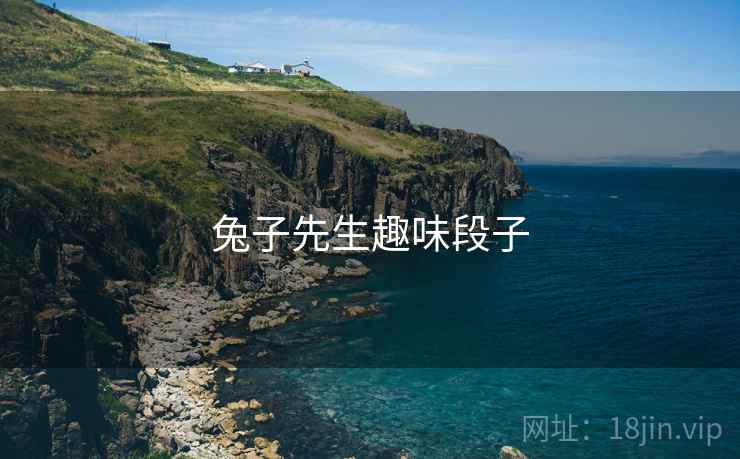 兔子先生趣味段子  第2张