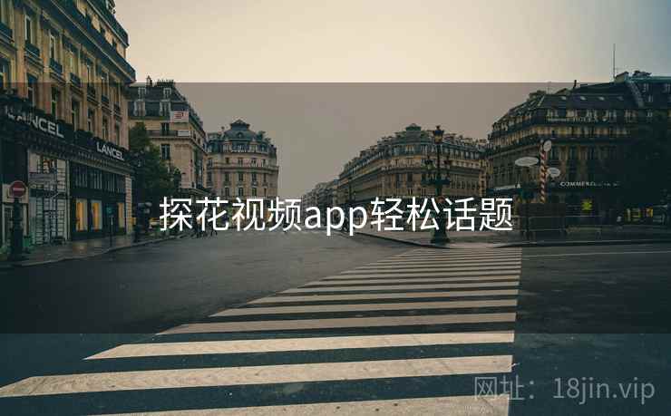 探花视频app轻松话题  第2张