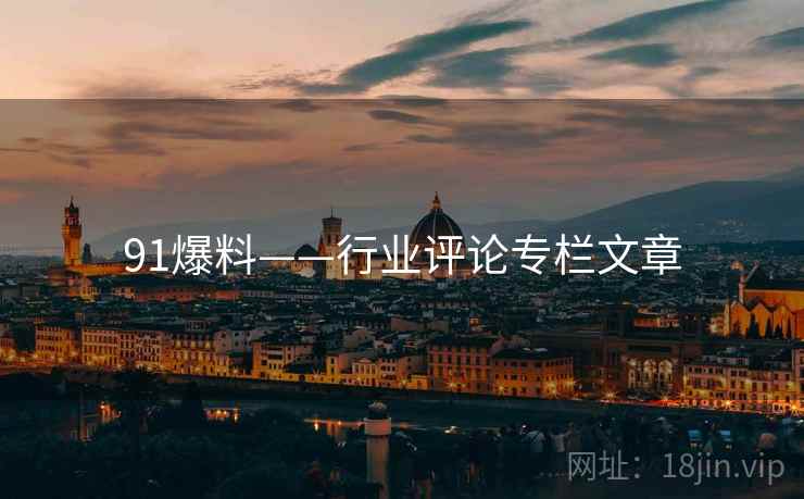 91爆料——行业评论专栏文章  第2张