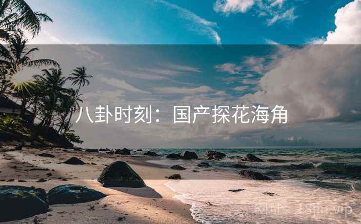 八卦时刻：国产探花海角  第2张