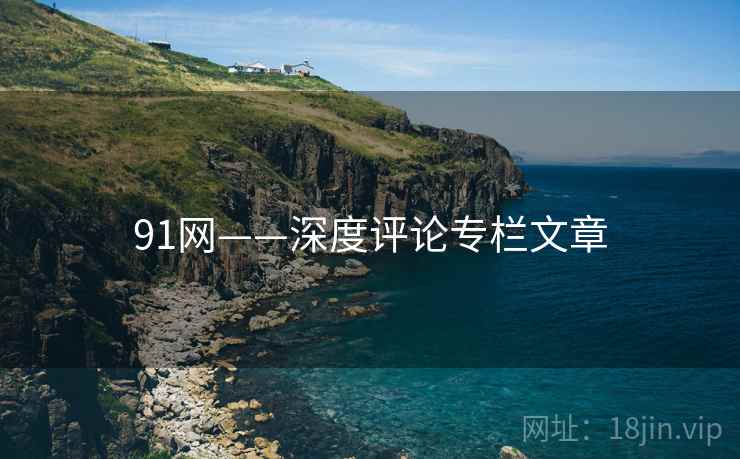 91网——深度评论专栏文章  第2张
