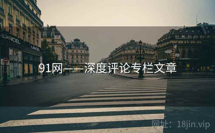 91网——深度评论专栏文章  第1张