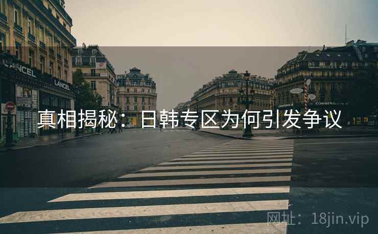 真相揭秘：日韩专区为何引发争议  第2张
