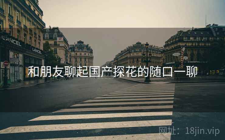 和朋友聊起国产探花的随口一聊  第1张 和朋友聊起国产探花的随口一聊  第1张