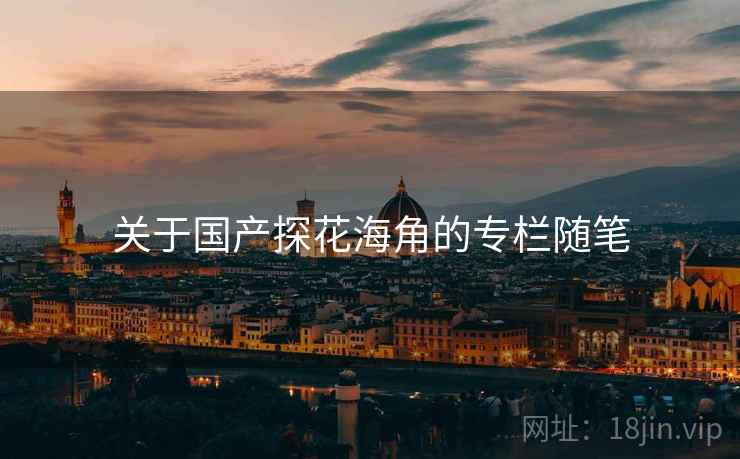 关于国产探花海角的专栏随笔  第2张 关于国产探花海角的专栏随笔  第2张