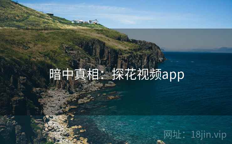 暗中真相:探花视频app  第2张 暗中真相:探花视频app  第2张
