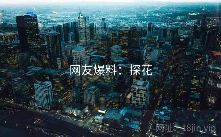 网友爆料:探花  第2张 网友爆料:探花  第2张