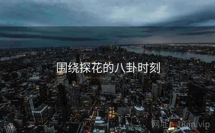 围绕探花的八卦时刻  第1张 围绕探花的八卦时刻  第1张