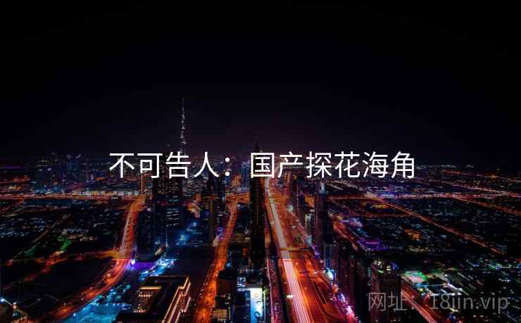 不可告人:国产探花海角  第1张 不可告人:国产探花海角  第1张